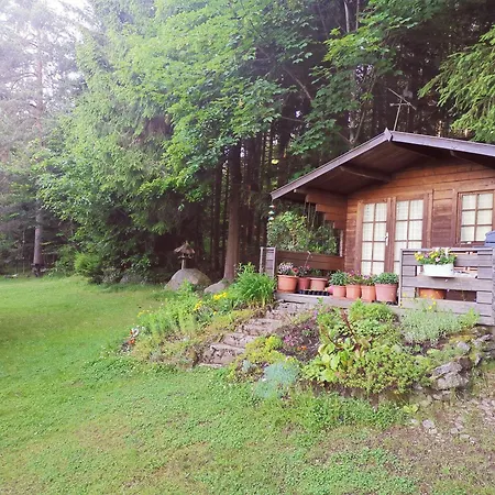 Apartment Haus Daxberg Idyllisch Gelegen Im Bayerischen Wald - Mit Küche Bad *