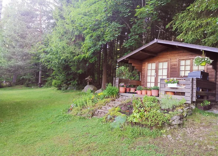 아파트 Haus-daxberg-idyllisch-gelegen-im-bayerischen-wald-ferienwohnung-mit-zimmer-kueche-bad *